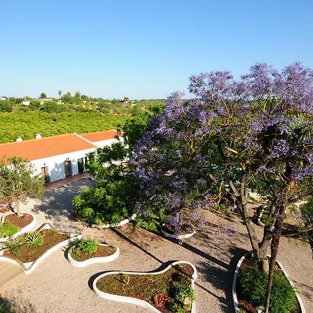 Hortas De Baixo, Luz De